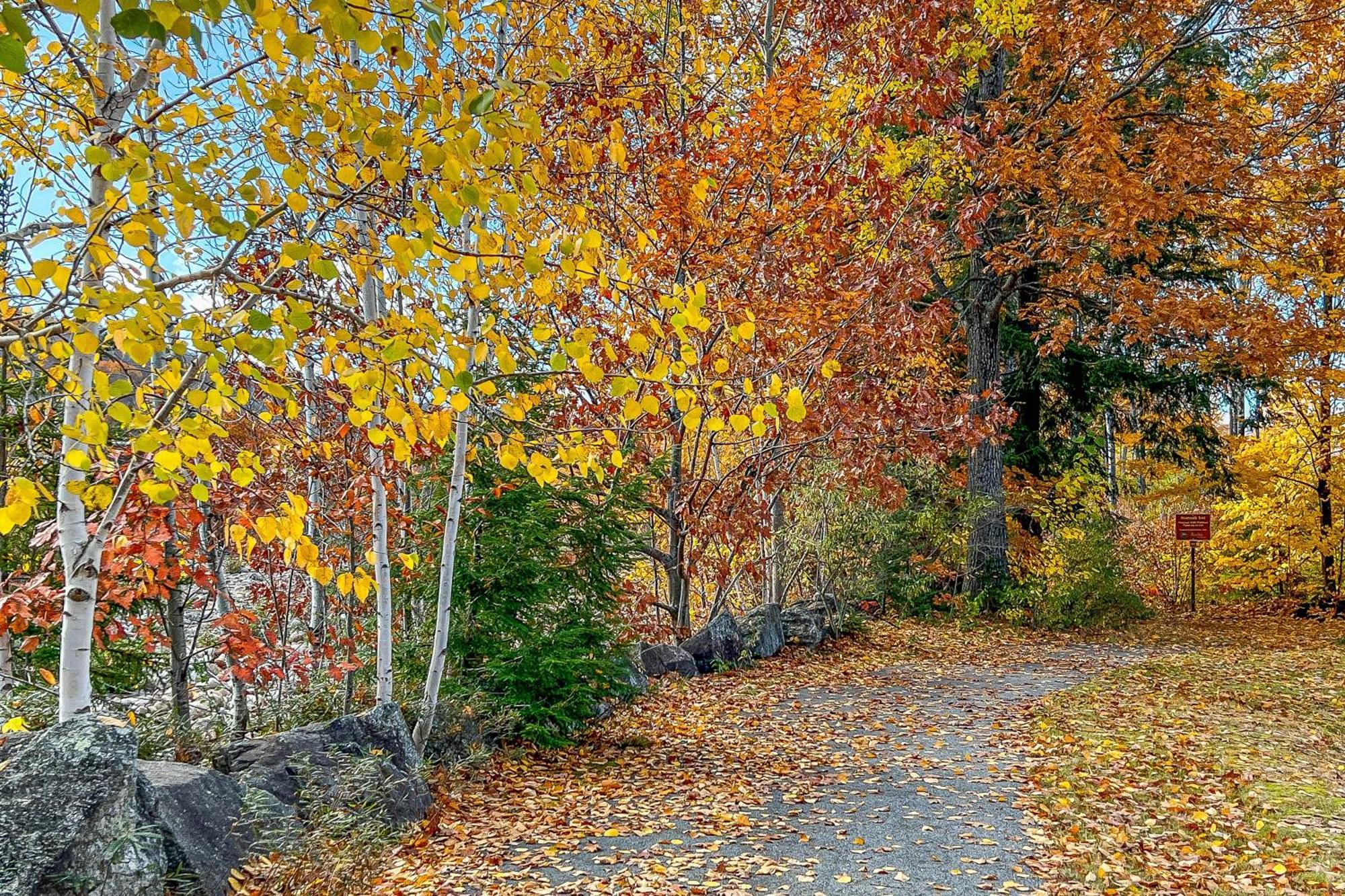 Autumn Colors Condo, Unit 215 Lincoln Exterior foto
